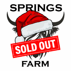 Christmas at Springs Farm